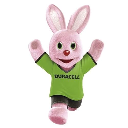 Duracell Schnellladegerät, Ladezeit 45 min, inkl. 2 AA- und 2 AAA-Akkus - 4