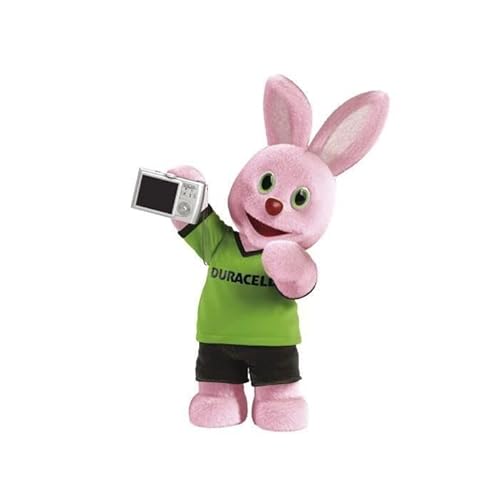 Duracell Schnellladegerät, Ladezeit 45 min, inkl. 2 AA- und 2 AAA-Akkus - 6