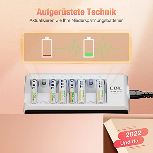 EBL AA AAA Smart charger Akku Ladegerät (8x Stecker) für Ni-MH Ni-Cd Mignon AA/Micro AAA - 8